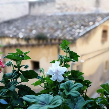 Al-Zabut Bed & Breakfast Sambuca di Sicilia Exterior photo