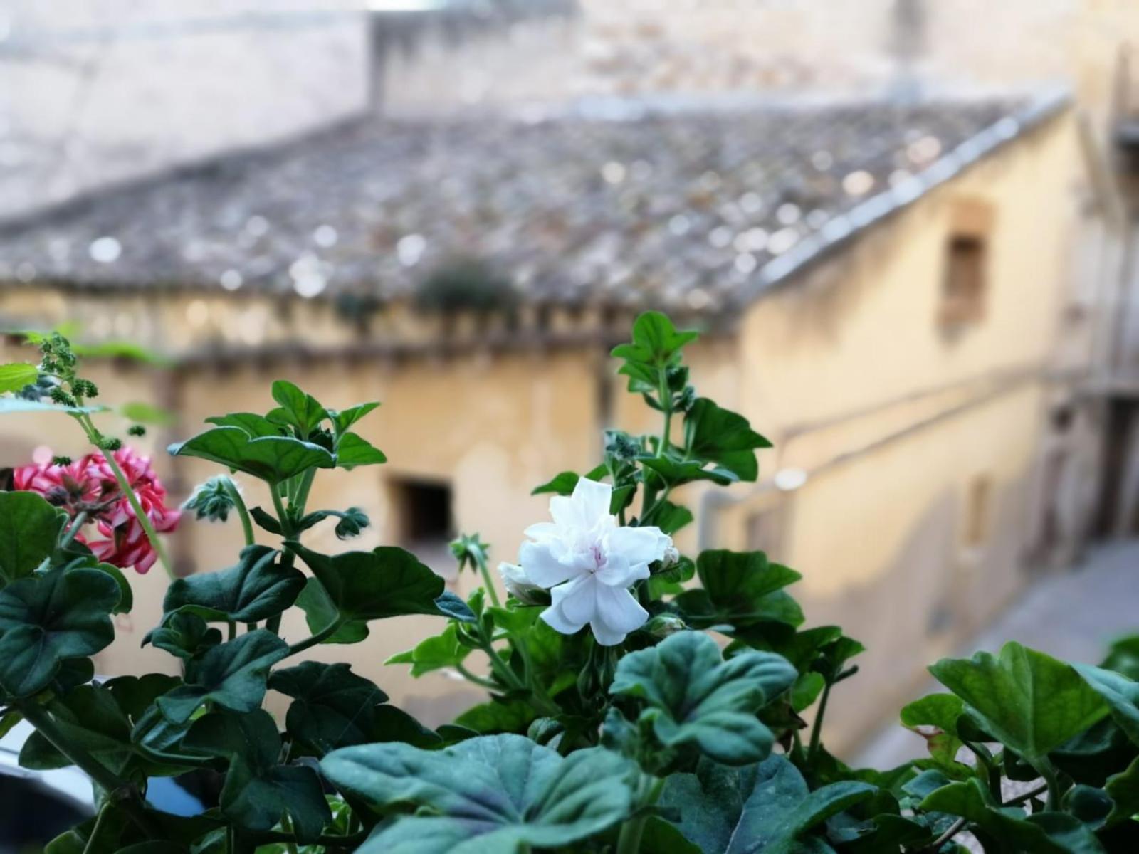 Al-Zabut Bed & Breakfast Sambuca di Sicilia Exterior photo